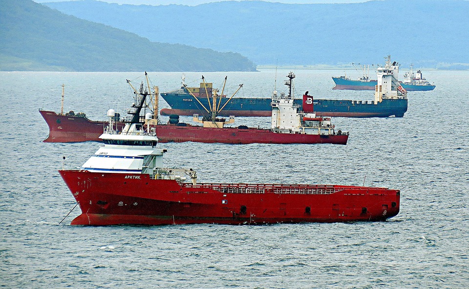 How are agri import-export steps managed?