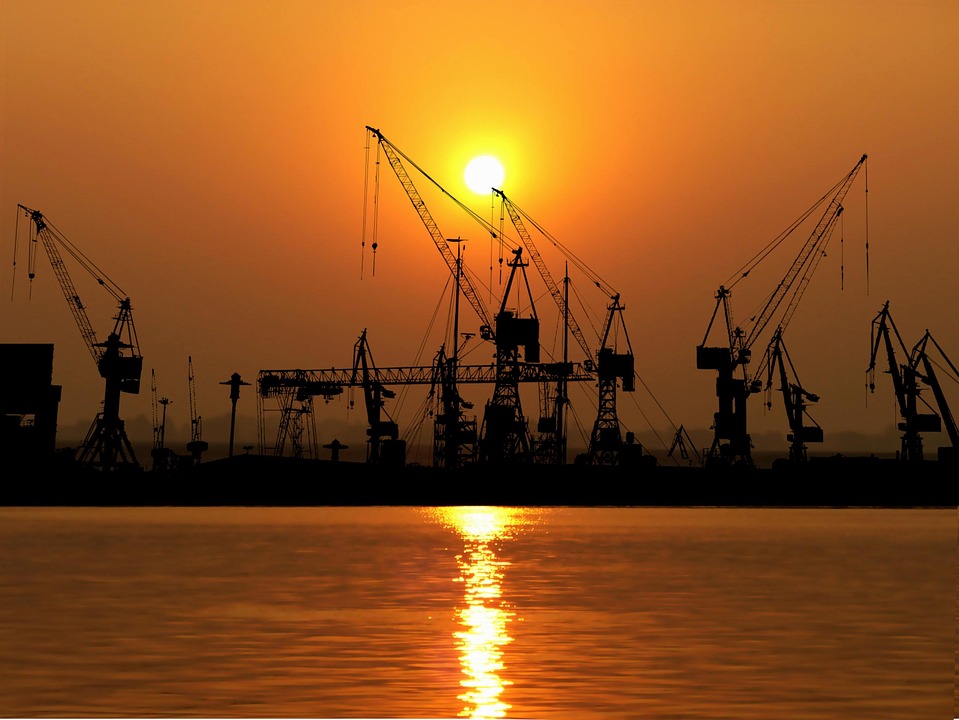How is agri export licensing managed?