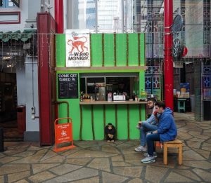 Discover Singapore's Hidden Gem: The Wired Monkey SG (The Hole)