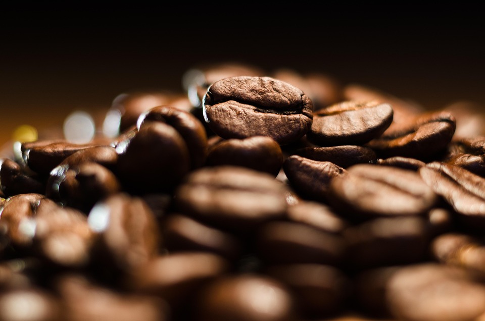 Navigating Coffee Shipments: LCL vs. FCL for Optimal Logistics 1 coffee