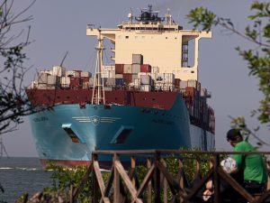 export import of commodities