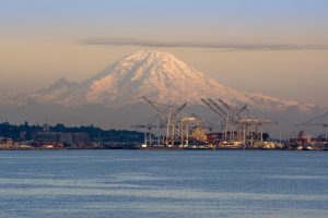 export import of commodities